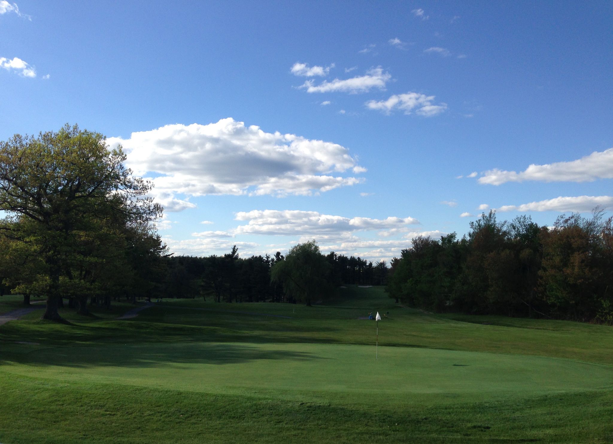Golf course green